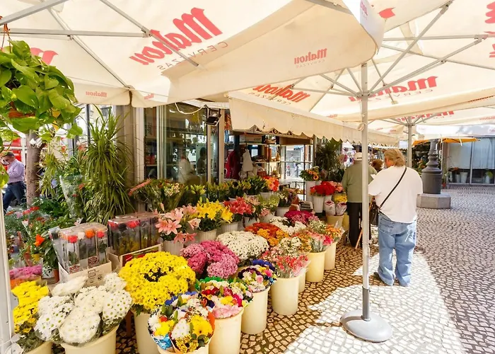 El Seminarista By Cadiz4rentals 公寓 *